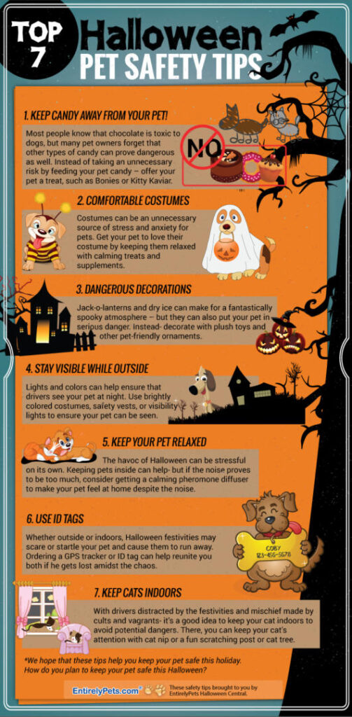 halloween-safety-final