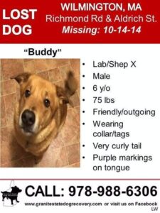 Buddy