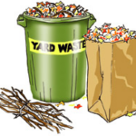 Yard Waste
